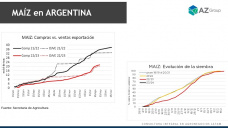 Maíz: Lentas siembras que alejan las intenciones de productores, con Lorena D´Angelo - Clínica de Granos