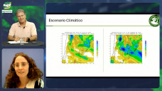 ¿Qué esta pasando con Maíz, Soja y Girasol?, ¿llegaremos a las 130 Mill Tons?; con C. Conde - BdeC