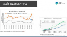 Maíz: Con el aumento de las ventas al exterior, falta oferta del productor; con Lorena D´Angelo - Clínica de Granos