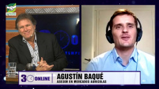 ¿Por qué sembrar trigo, cebada y girasol serán muy buen negocio?; con Agustín Baque