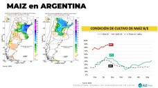Si se viene mucho Maíz 25/26, ¿y si vendemos?; con Lorena D´ Angelo - Clínica de Granos