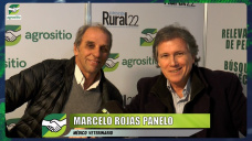 ¿Qué estrategias Ganaderas está trabajando la Comisión de Carnes de La Rural?; con M. Rojas Panelo - veterinario