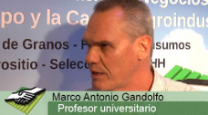 TV: En Brasil investigan metodologías para mejorar las aplicaciones aéreas y terrestres; con M. A. Gandolfo