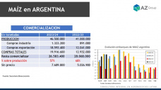 Maíz: El cereal fue el único que mejoró en la semana; con Lorena D´Angelo - Clínica de Granos
