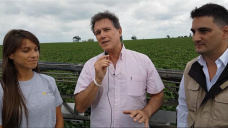 Campos que ya utilizan aplicación variable con sensores remotos y ahorran 70% en fitosanitarios; con B. Milanesio e H. Young