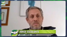 Lo nuevo en protección y nutrición Biológica de cultivos con algas marinas; con Jorge Escalante - agrónomo