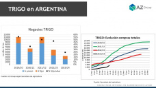 Trigo: Avanza la cosecha, demanda de exportación y pocos negocios; con Lorena D´Angelo - Clínica de Granos