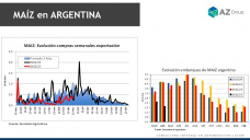 Maíz: Mejora externa, baja local para el cereal, con Lorena D´Angelo - Clínica de Granos
