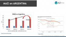 Maíz: bajará la producción 23/24, ¿pero...hasta cuánto?; con Lorena D´Angelo - Clínica de Granos