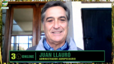 Buena demanda de Hacienda, menor oferta, precios récord en U$S, y todo por hacer; con Juan Llauró - ganadero