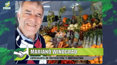 Nuevos hábitos alimentarios, consumidores empoderados, y oportunidades; con Mariano Winograd - agrónomo