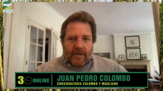 ¿Es negocio comprar Invernada a Término con entrega en Marzo a $900 cash?; con Juan Pedro Colombo - consignatario