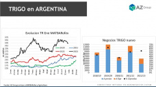 Trigo: Con baja cosecha, los precios del cereal se mantienen, con Lorena D´Angelo - Clínica de Granos