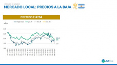 Trigo: precios locales e internacionales continúan a la baja, ¿hasta cuando?, con Sofia Gayo - Clínica de Granos