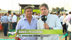 Algunos opinábamos que había que esperar un poco más para los paros; con Daniel Pelegrina - SRA