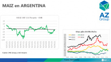 Maíz: Todavía se consiguen buenos valores del cereal pero ¿hasta cuándo?, con Lorena D´Angelo - Clínica de Granos