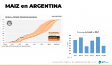 Maíz: Avanza la cosecha y aumentan los negocios; con Lorena D´Angelo - Clínica de Granos