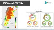 Trigo: el clima impacta en los cultivos locales, con Lorena D´Angelo - Clínica de Granos