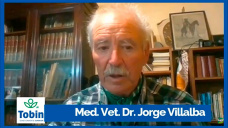 Sorgo de Pastoreo Precoz : Un cambio de paradigma en la utilización de este valioso Verdeo de Verano