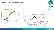 Trigo: Con clima desfavorable los precios no pueden seguir bajando, con Lorena D´Angelo - Clínica de Granos