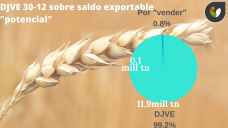 Trigo: firme, en el mercado que se lo mire, con Paulina Lescano - Clínica de Granos