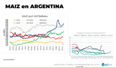 Maíz: el cereal comenzó el 2025 con el pie derecho; con Lorena D´Angelo - Clínica de Granos