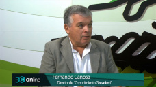 30 online B1: ¿Qué temas quedan pendientes en la Mesa Ganadera con Macri?; con F. Canosa