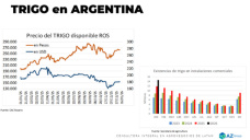 Trigo: hay mucho trigo en todos lados; con Lorena D´ Angelo - Clínica de Granos