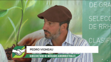 ¿Qué le va a sumar Pedro Vigneau al Campo como Subsecretario en Agroindustria y Producción?