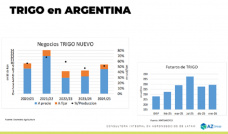 Trigo: con mejoras externas, subió el cereal futuro; con Lorena D´Angelo - Clínica de Granos