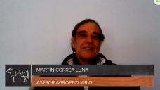 Cómo transformar campos agrícolas en mixtos con 1200 Kg carne /ha; con M. Correa Luna