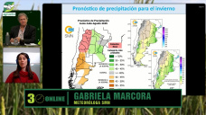 Neutralidad invernal, eventos de escala sinóptica, y muchas precipitaciones; con Gabriela Marcora - Clima SMN
