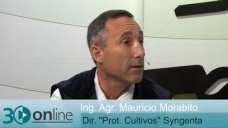 30 online B1: ¿Qué medidas de manejo tomar ante las malezas resistentes?; con M. Morabito