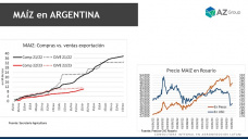 Maíz: La suba externa y la menor oferta ayudó a los precios del cereal local, con Lorena D´Angelo - Clínica de Granos