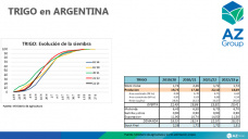 Trigo: castigado por la cosecha en el norte y el clima en el sur, con Lorena D´Angelo - Clínica de Granos