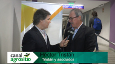 TV: ¿Qué dice un tributarista sobre el freno a la baja de retenciones en harinas y aceites?; con H. Tristán