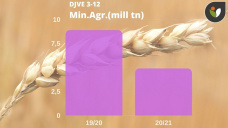 Trigo: una cosecha que ha venido perdiendo kgs, ahora pone las fichas en las mejores zonas trigueras, con Paulina Lescano - Clínica de Granos