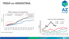 Trigo: Precios locales que se recuperan por el clima, con Lorena D´Angelo - Clínica de Granos