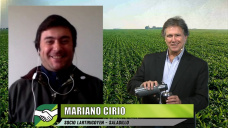 ¿Hay faltante de insumos y aumentos diarios de precios en dólares?; con Mariano Cirio - Lartirigoyen