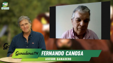 ¿Cómo hacer realidad un Exitoso 2025 Ganadero sin morir en el intento?; con Fernando Canosa - agrónomo 