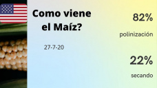 Ya paso sin pena ni gloria el mercado climático del maíz, o puede haber alguna sorpresa?, con Paulina Lescano - Clínica de Granos