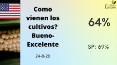 Maíz: ahora sí, los precios forward abril superaron los niveles que había en agosto 2019, con Paulina Lescano - Clínica de Granos