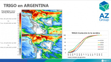 Trigo: Vaivenes externos presionan los valores pero menos por el clima, con Lorena D´Angelo - Clínica de Granos