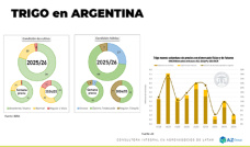Trigo: Las lluvias fueron favorables para el cereal ¿y para los precios?; con Lorena D´Angelo - Clínica de Granos