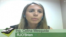TV: ¿Se despega Argentina de las caídas de maíz y soja de Chicago?; con C. Mesquida - RJO´Brien