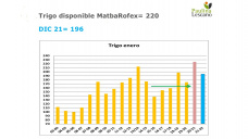 Trigo: mercado internacional va y viene, y local... con riesgo de nuevas intervenciones, con Paulina Lescano - Clínica de Granos