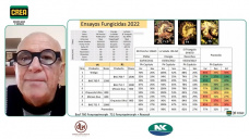 ¿Cómo potenciar un año Girasolero con la mejor Agronomía aplicada?; con J. González Montaner - agrónomo