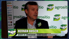 Post-seca, deudas, siembras, alquileres, ¿y qué pasa con el crédito y las tasas?; con Hernán Busch - Galicia