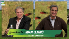 Poca hacienda, buena demanda, excelentes precios, ¿apostar al #BoomGanadero?; con Juan Llauró - administrador
