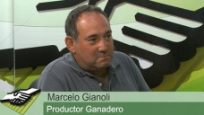 TV: ¿Cómo hace un productor Ganadero pequeño para retener hacienda este año?; con Marcelo Gianoli